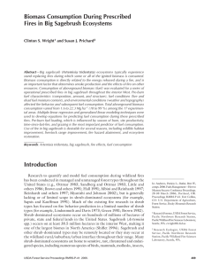 Biomass Consumption During Prescribed Fires in Big Sagebrush Ecosystems Clinton S. Wright