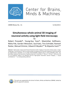 Simultaneous whole‐animal 3D imaging of  neuronal activity using light‐field microscopy 