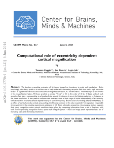 Computational role of eccentricity dependent cortical magnification by CBMM Memo No. 017