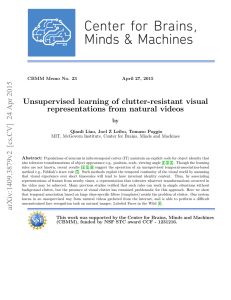 Unsupervised learning of clutter-resistant visual representations from natural videos by