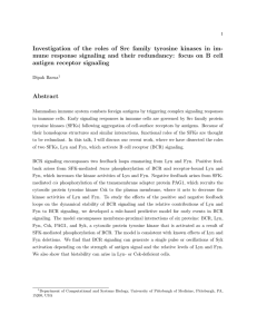 Investigation of the roles of Src family tyrosine kinases in... mune response signaling and their redundancy: focus on B cell