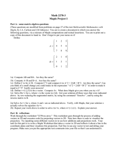 Math 2270-3 Maple Project I