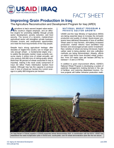 A Improving Grain Production in Iraq