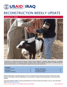 RECONSTRUCTION WEEKLY UPDATE  January 27, 2006