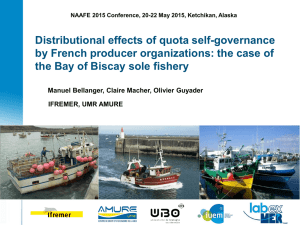 Distributional effects of quota self-governance the Bay of Biscay sole fishery