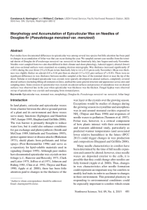 Morphology and Accumulation of Epicuticular Wax on Needles of Pseudotsuga menziesii Abstract