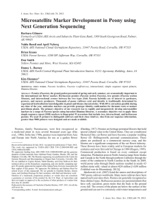 Microsatellite Marker Development in Peony using Next Generation Sequencing