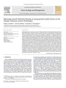 Midcanopy growth following thinning in young-growth conifer forests on the