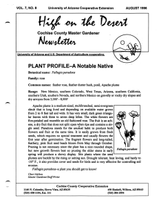 Nea/itetU/i PLANT PROFILE-A Notable Native Cochise County Master Gardener