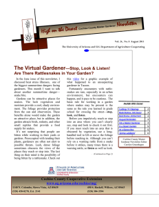 Newsletter High on the Desert The Virtual Gardener