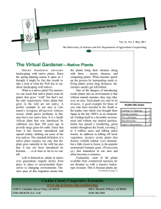 Newsletter High on the Desert The Virtual Gardener