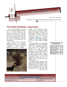 Newsletter High on the Desert The Virtual Gardener