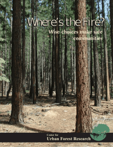 Where’s the Fire? Where s the Fire? Wise choices make safe