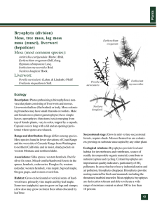 Bryophyta (division) Moss, tree moss, log moss moss (musci), liverwort (hepaticae)