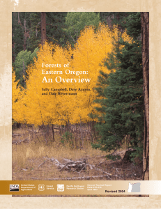 An Overview Forests of Eastern Oregon: Sally Campbell, Dave Azuma,