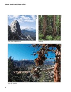 Castle Dome and Mount Shasta. Redwoods. Mount San Gorgonio. 54