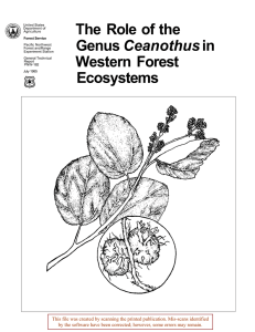 The Role of the Ceanothus Western Forest