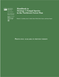 Handbook to Strategy 1 Fungal Species in the Northwest Forest Plan P