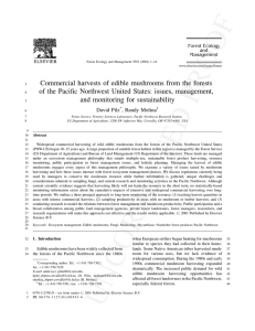 Commercial harvests of edible mushrooms from the forests