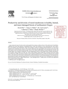 Productivity and diversity of morel mushrooms in healthy, burned,