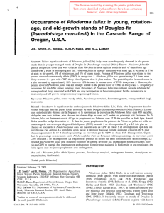 Piloderma  fMlax (Pseudotsuga  rnenziesi