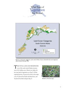 Vegetation I What Types of