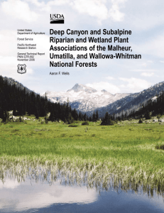 Deep Canyon and Subalpine Riparian and Wetland Plant Associations of the Malheur,