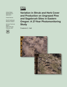 Variation in Shrub and Herb Cover and Production on Ungrazed Pine