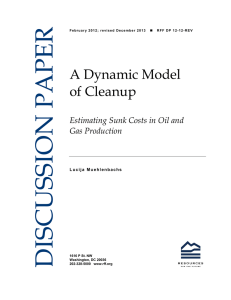 DISCUSSION PAPER A Dynamic Model of Cleanup