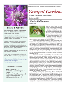 Yavapai Gardens Native Pollinators Events &amp; Activities Master Gardener Newsletter