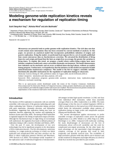 Modeling genome-wide replication kinetics reveals Scott Cheng-Hsin Yang *, Nicholas Rhind