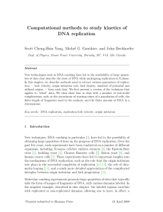 Computational methods to study kinetics of DNA replication