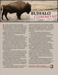 I Buffalo Commons