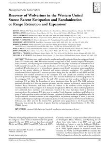 Recovery of Wolverines in the Western United