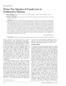 Winter Prey Selection of Canada Lynx in Northwestern Montana Research Article