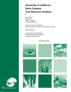 University of California Davis Campus Tree Resource Analysis