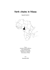 Verb chains in Nizaa