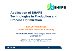 Application of SHAPE Technologies in Production and Process Optimization IESA 2010 Workshop