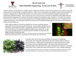 The D’Auria Lab Plant Metabolic Engineering:  From Cars to Mars