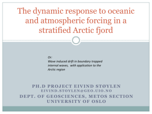 The dynamic response to oceanic and atmospheric forcing in a