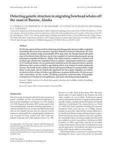 Detecting genetic structure in migrating bowhead whales off