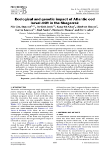 Ecological and genetic impact of Atlantic cod