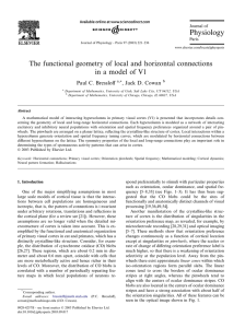 The functional geometry of local and horizontal connections Paul C. Bressloﬀ