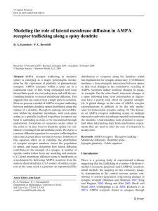 Modeling the role of lateral membrane diffusion in AMPA