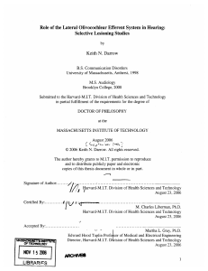 Role  of the Lateral Olivocochlear  Efferent System ... Selective  Lesioning  Studies N.