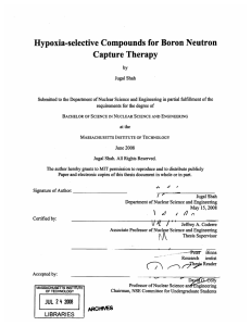 Hypoxia-selective  Compounds  for Boron Neutron Capture Therapy