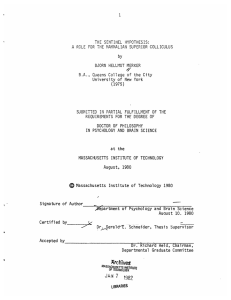 THE  SENTINEL  HYPOTHESIS: by