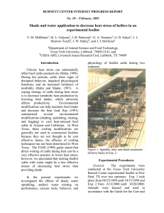 Shade and water application to decrease heat stress of heifers... experimental feedlot