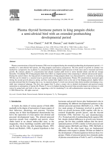 Plasma thyroid hormone pattern in king penguin chicks: