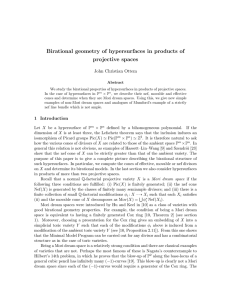Birational geometry of hypersurfaces in products of projective spaces John Christian Ottem